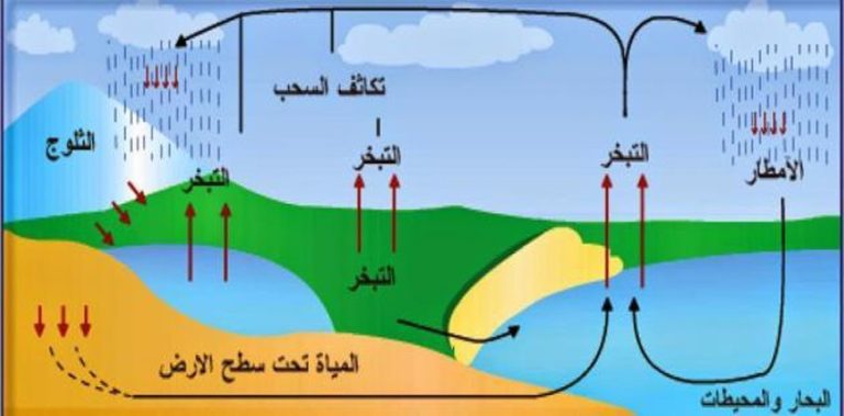 كيف تتغير المادة